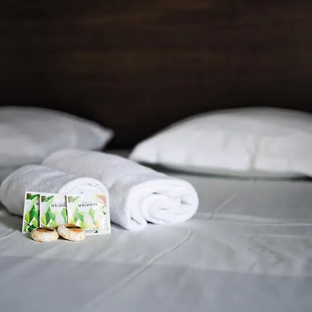Hotel Vendome Menton 호텔 3*