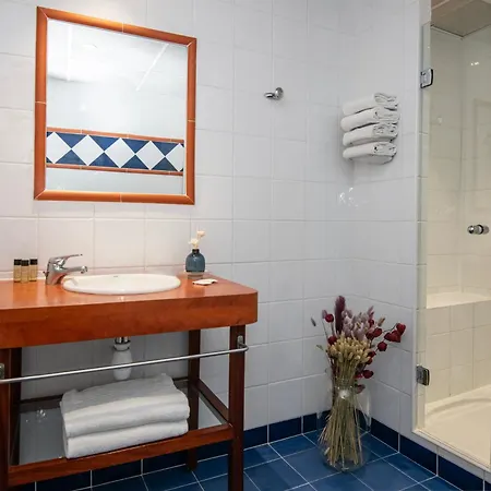 Hotel Vendome Menton 호텔 3*