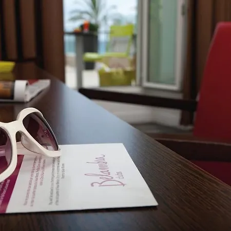 Hotel Menton Le Vendome 3* Menton