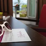 Hotel Menton Le Vendome 3* Mentone