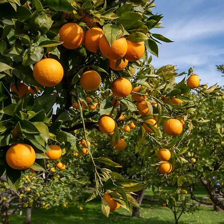 Vendome - Reouverture