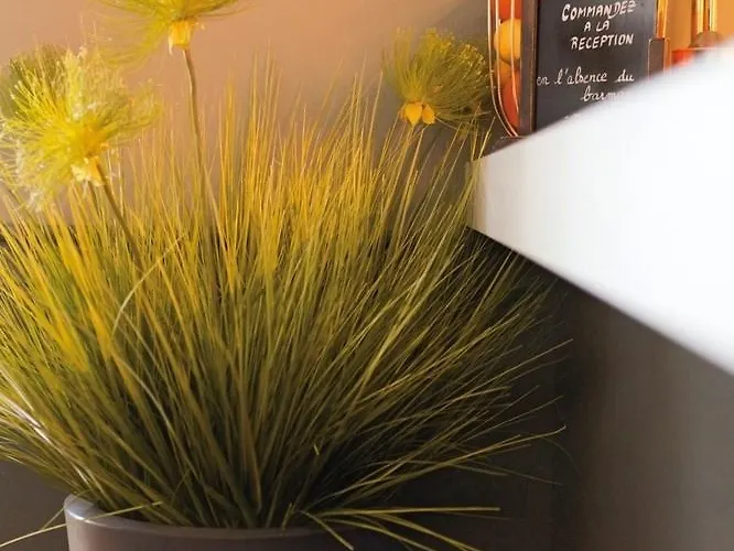 Hotel Hôtel Vendôme Menton